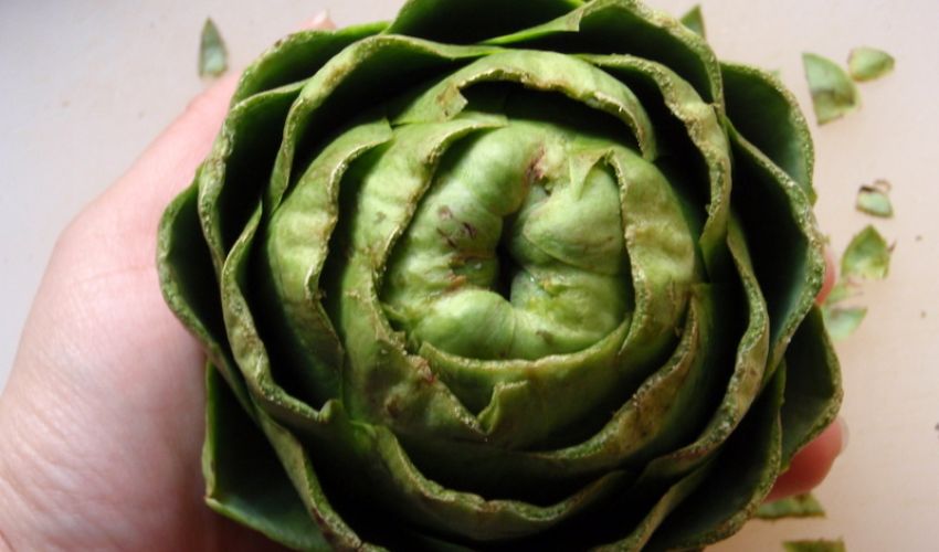 What is Inulin and is it high FODMAP?