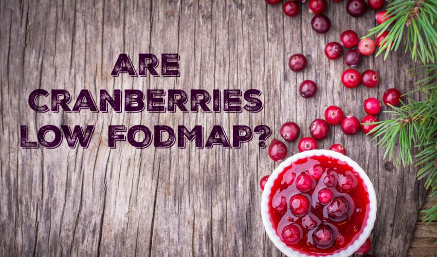 Are Cranberries Low FODMAP? » A Little Bit Yummy