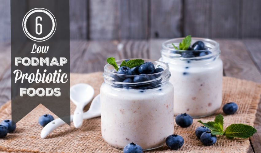 6 Low FODMAP Probiotic Foods » A Little Bit Yummy