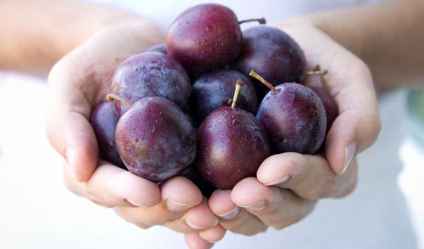 Can reintroducing high FODMAP foods help ease constipation?